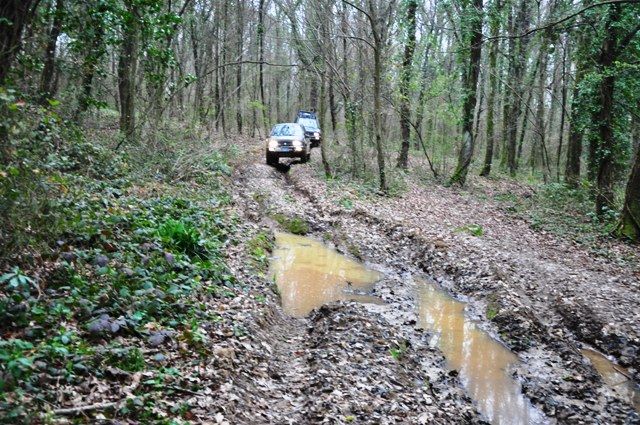 DSC_0051.jpg
