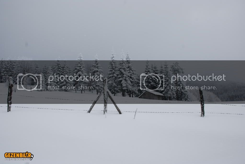 DSC_0051.jpg