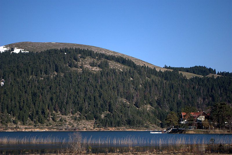 DSC_0054.jpg