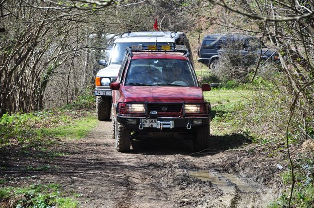 DSC_0060.jpg