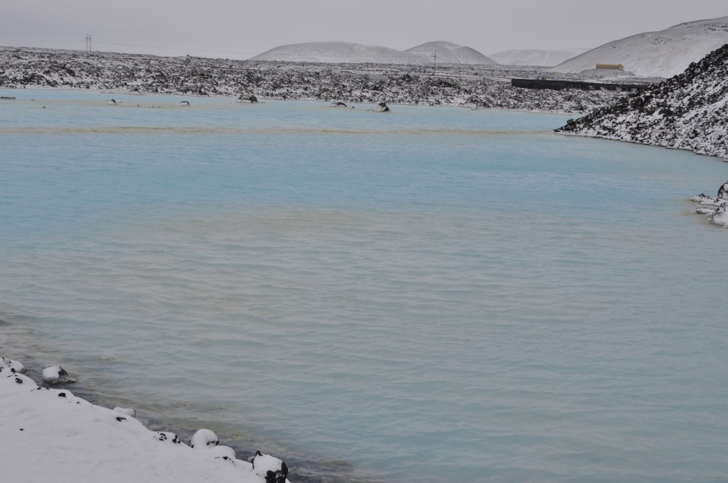 DSC_0061.JPG