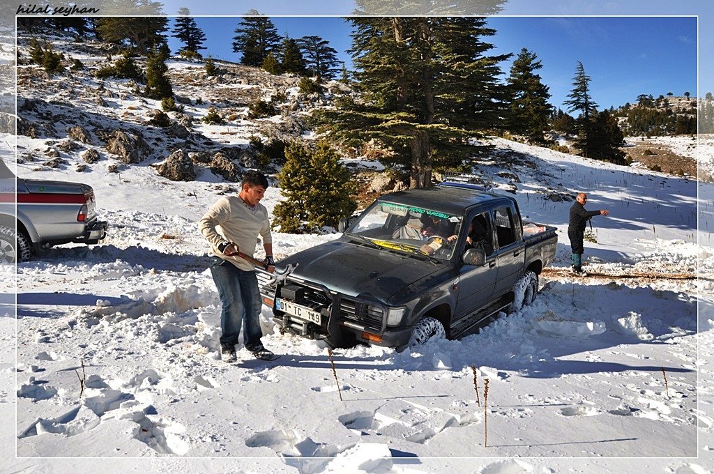 DSC_0064 [800x600].jpg