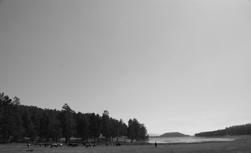 DSC_0065.jpg
