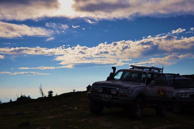 DSC_0067.jpg