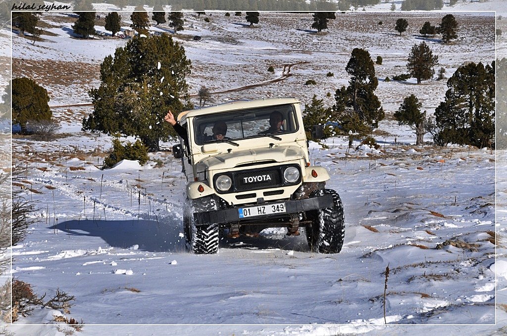 DSC_0069 [800x600].jpg