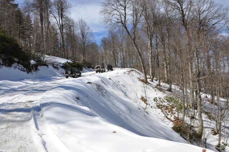 DSC_0074.jpg