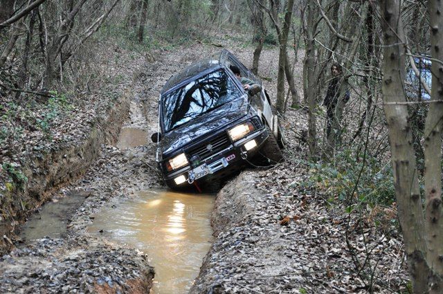 DSC_0078.jpg