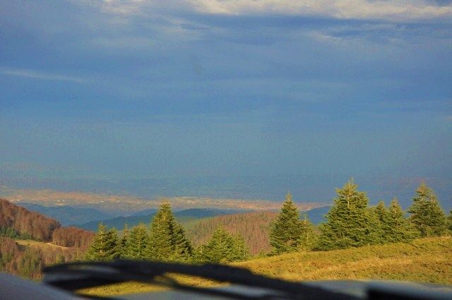 DSC_0081.jpg