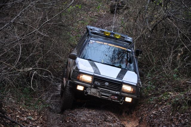 DSC_0081.jpg