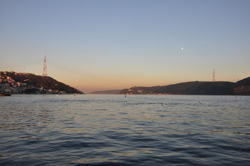 DSC_0081..jpg