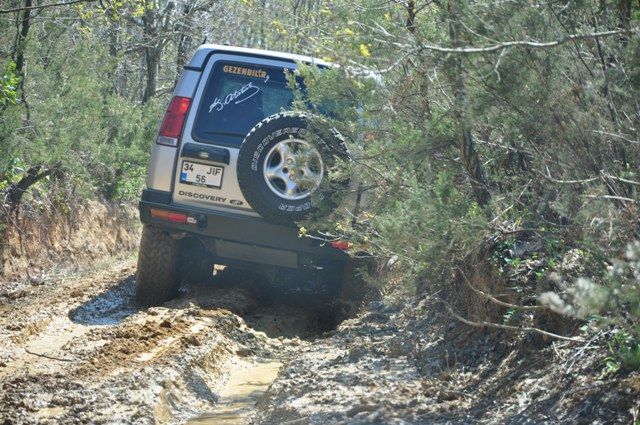 DSC_0082.jpg