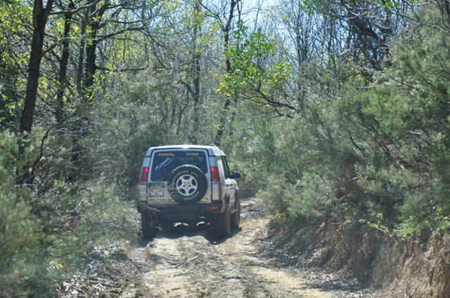 DSC_0084.jpg