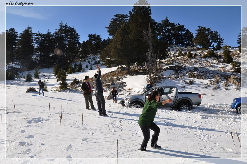 DSC_0085 [800x600].jpg