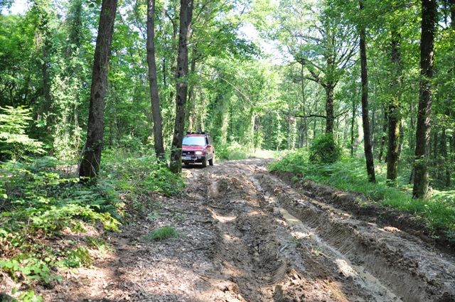 DSC_0087.jpg