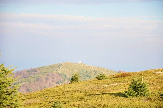 DSC_0087.jpg