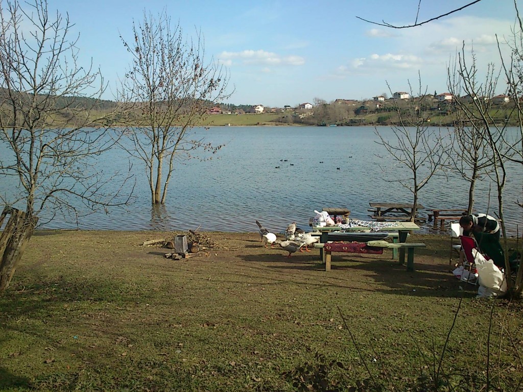 DSC_0088.JPG
