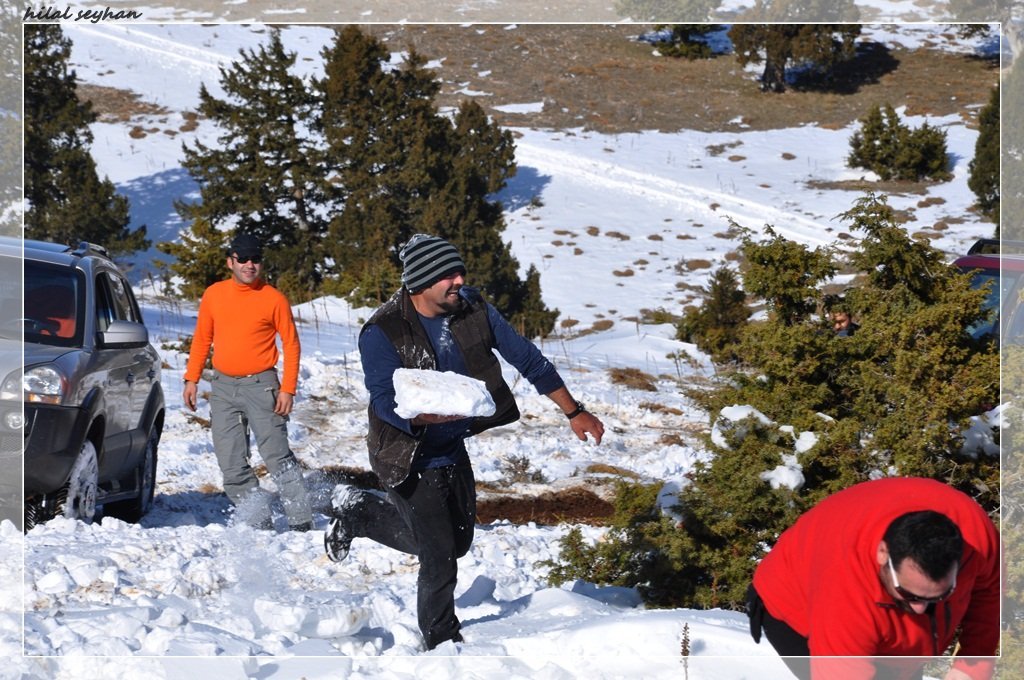 DSC_0089 [800x600].jpg