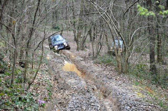 DSC_0090.jpg