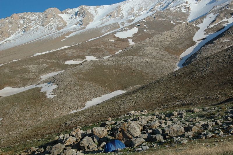 DSC_0091.jpg