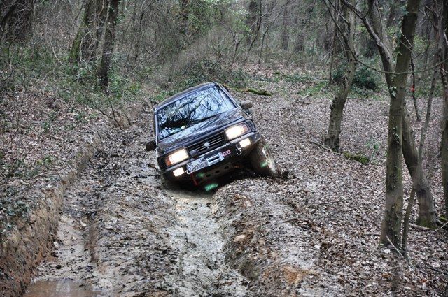 DSC_0092.jpg