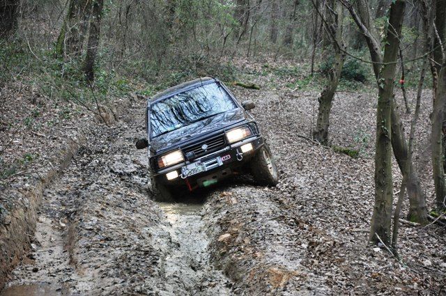 DSC_0093.jpg