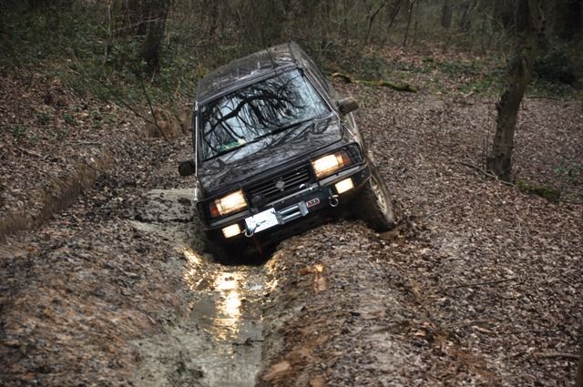 DSC_0094.jpg