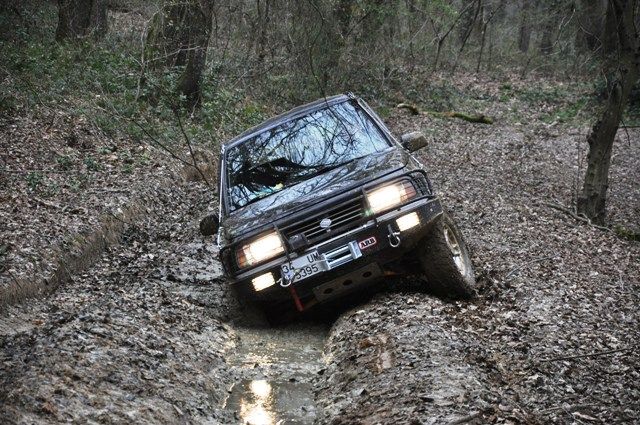 DSC_0095.jpg
