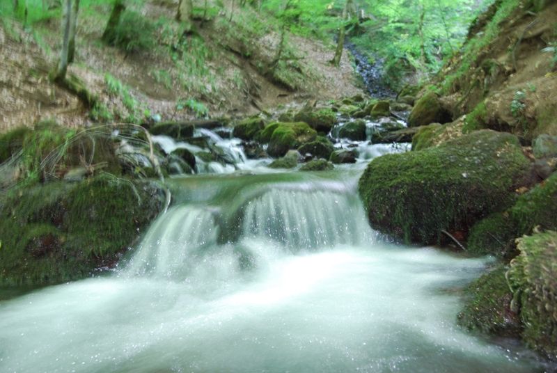 DSC_0096.jpg