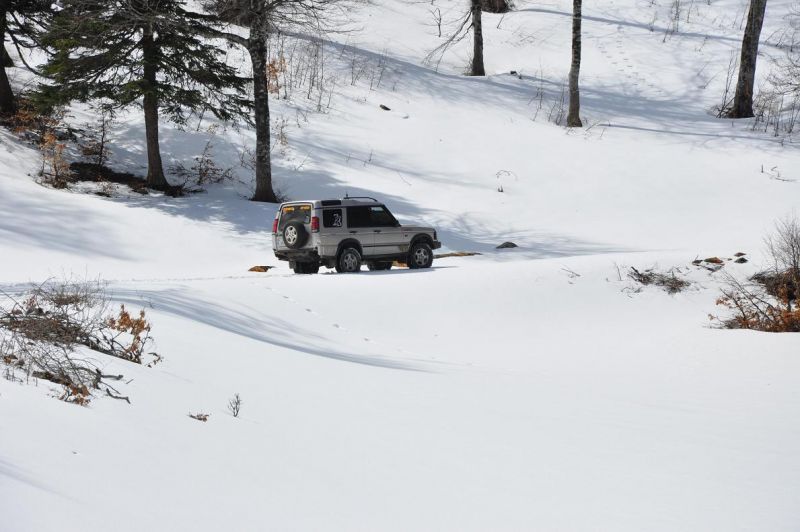 DSC_0097.jpg