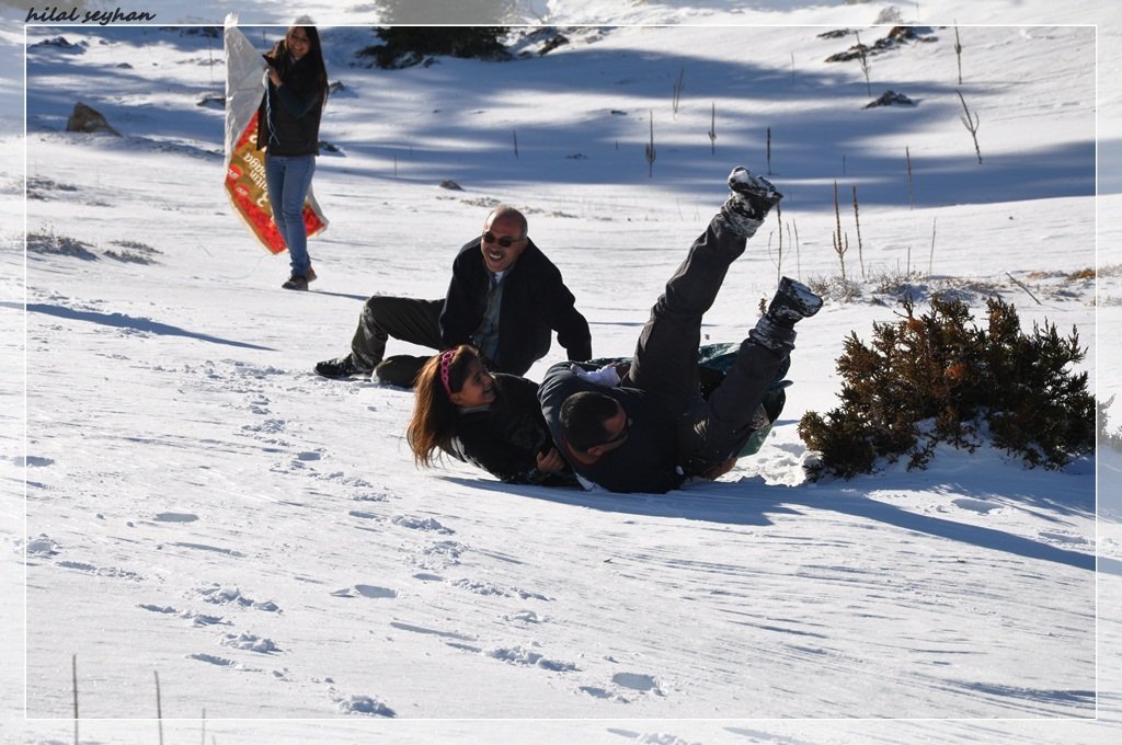 DSC_0099 [800x600].jpg