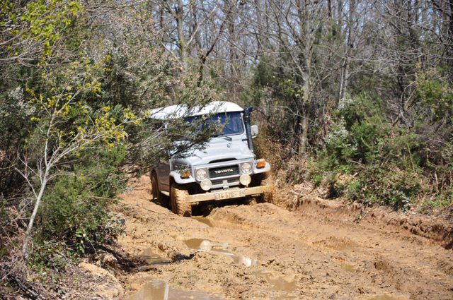 DSC_0105.jpg