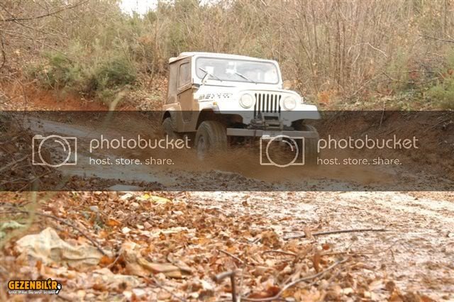 DSC_0105.jpg