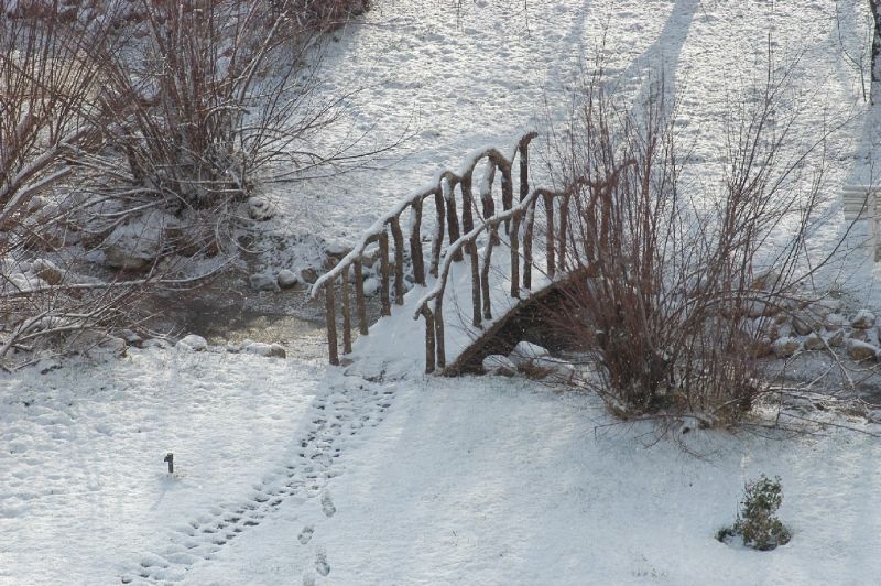 DSC_0106.jpg