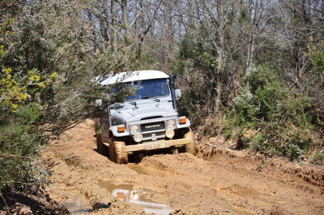 DSC_0106.jpg