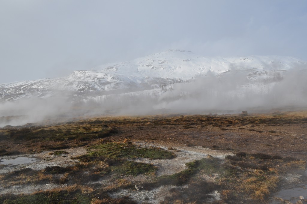 DSC_0106.JPG