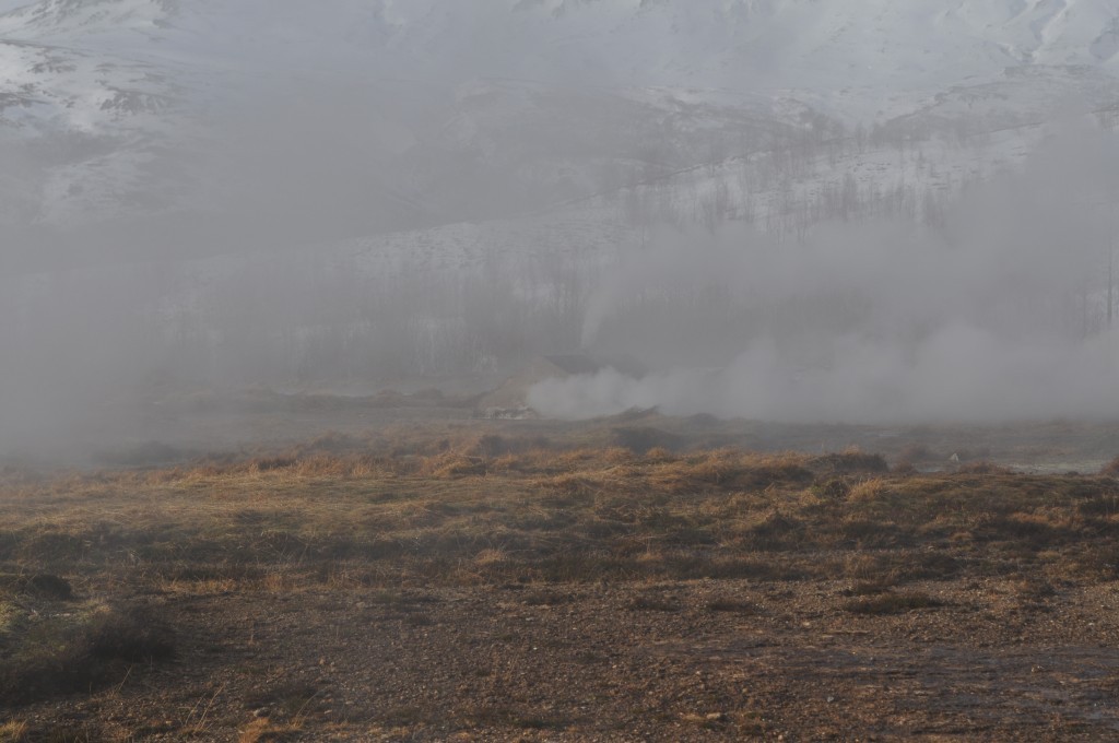 DSC_0107.JPG