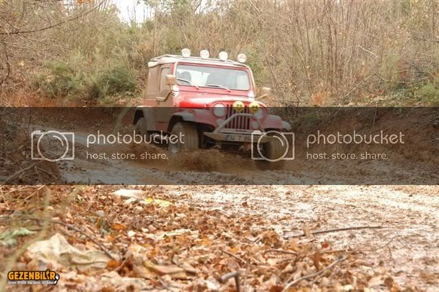 DSC_0108.jpg
