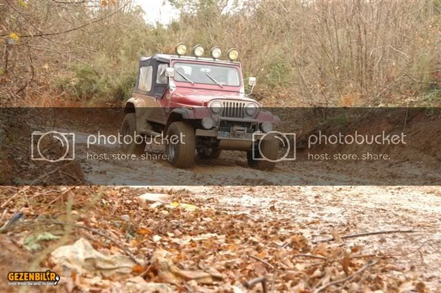DSC_0110.jpg