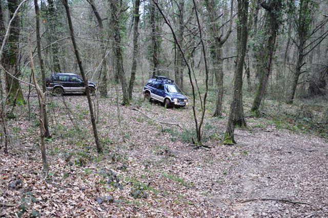 DSC_0111.jpg
