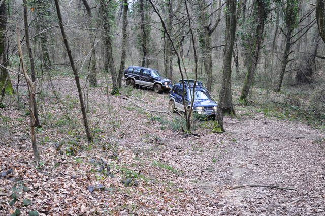 DSC_0112.jpg