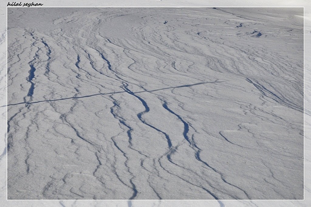 DSC_0113 [800x600].jpg