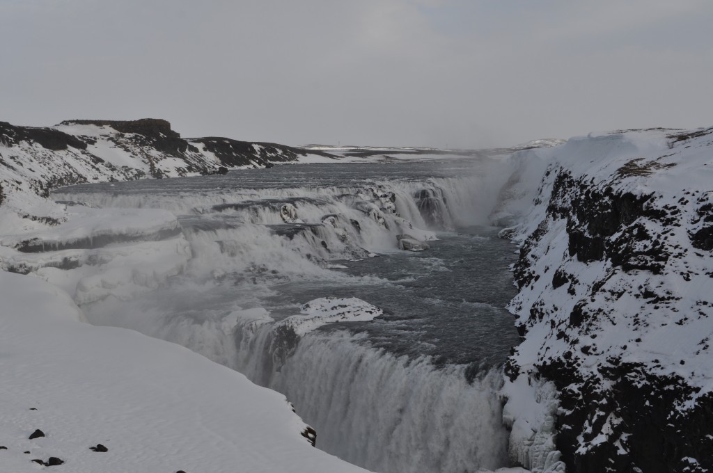 DSC_0113.JPG