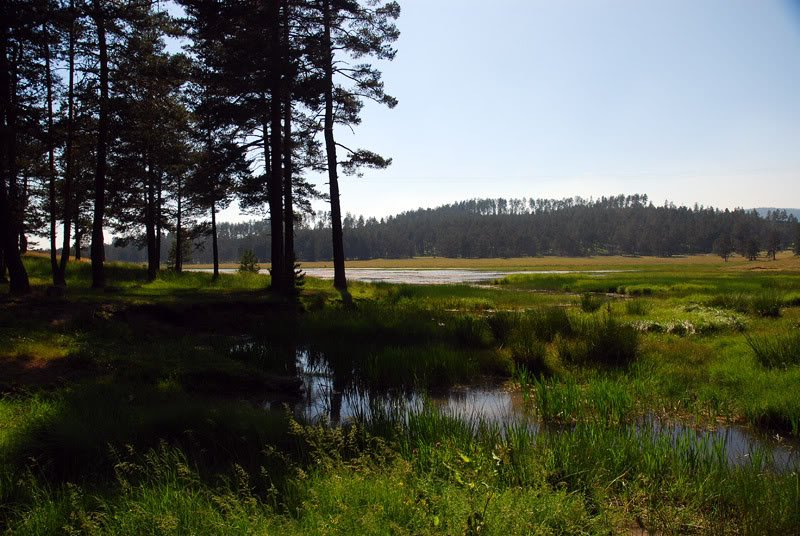 DSC_0114.jpg