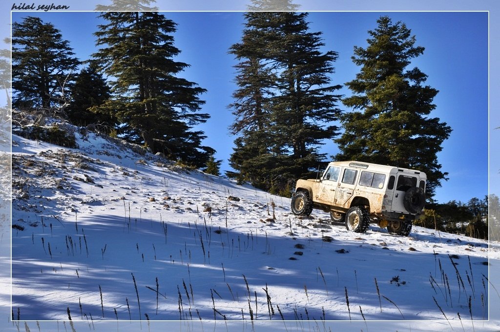 DSC_0115 [800x600].jpg