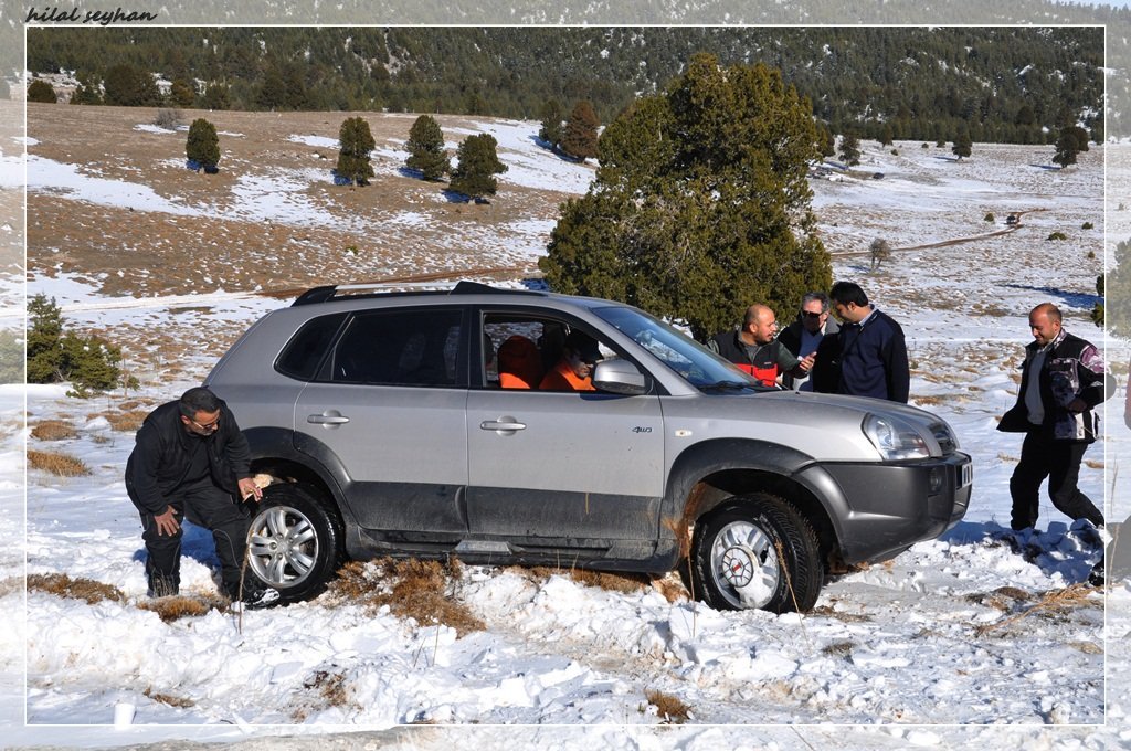 DSC_0117 [800x600].jpg