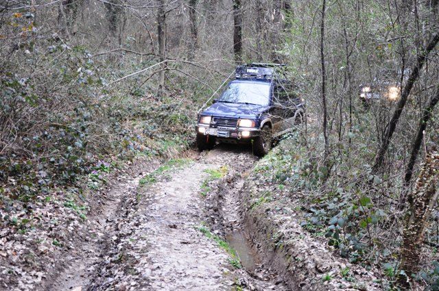 DSC_0117.jpg