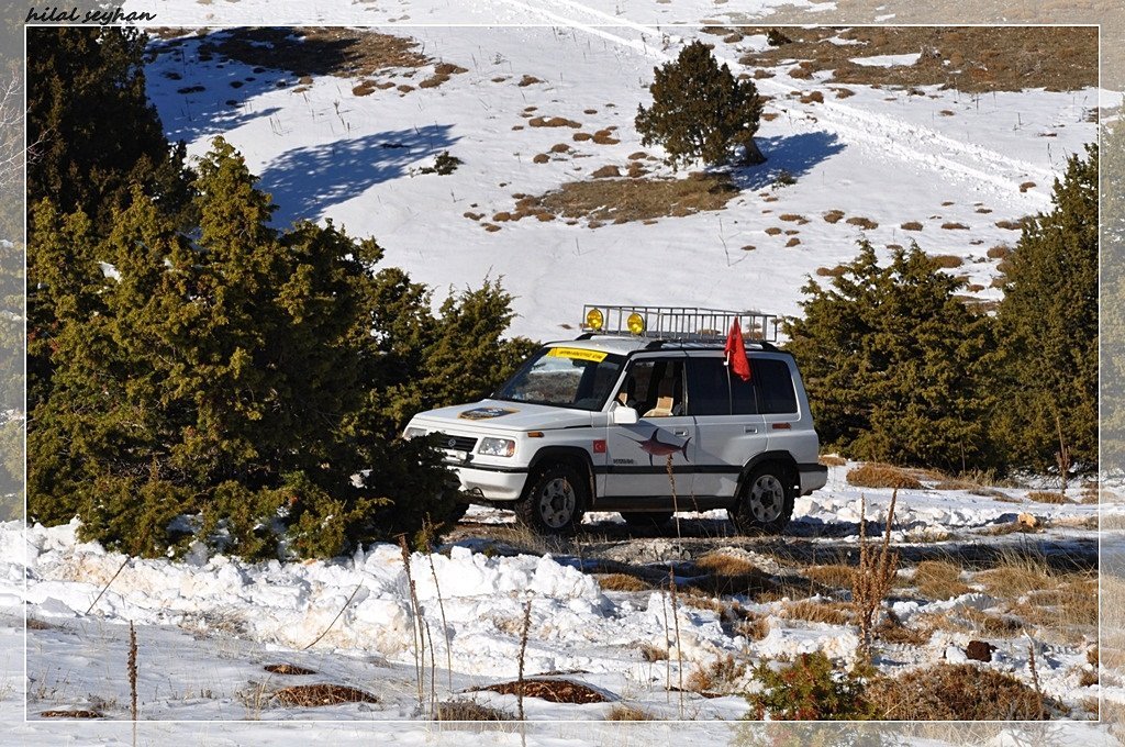 DSC_0118 [800x600].jpg