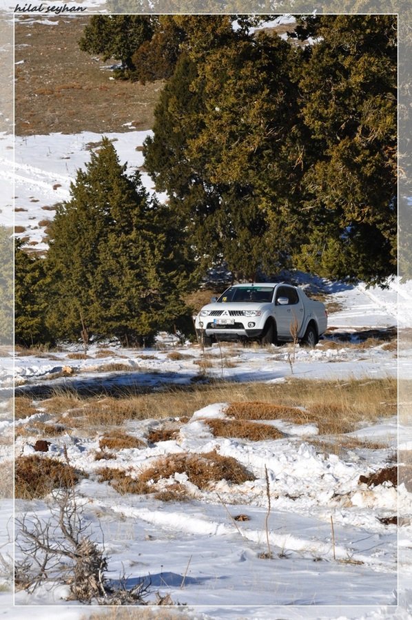 DSC_0119 [800x600].jpg