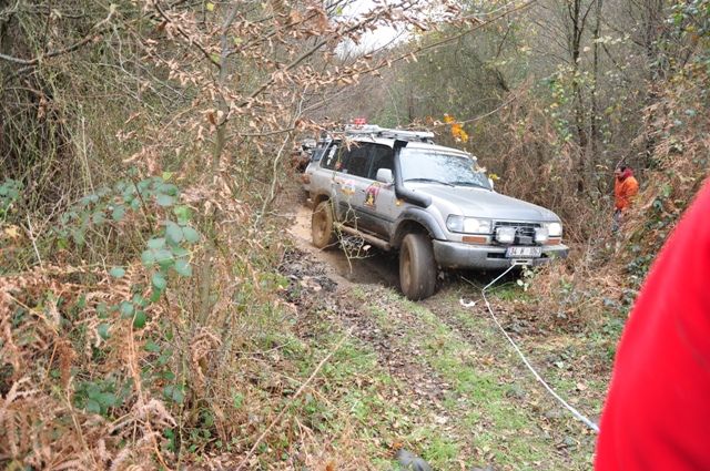 DSC_0119.jpg