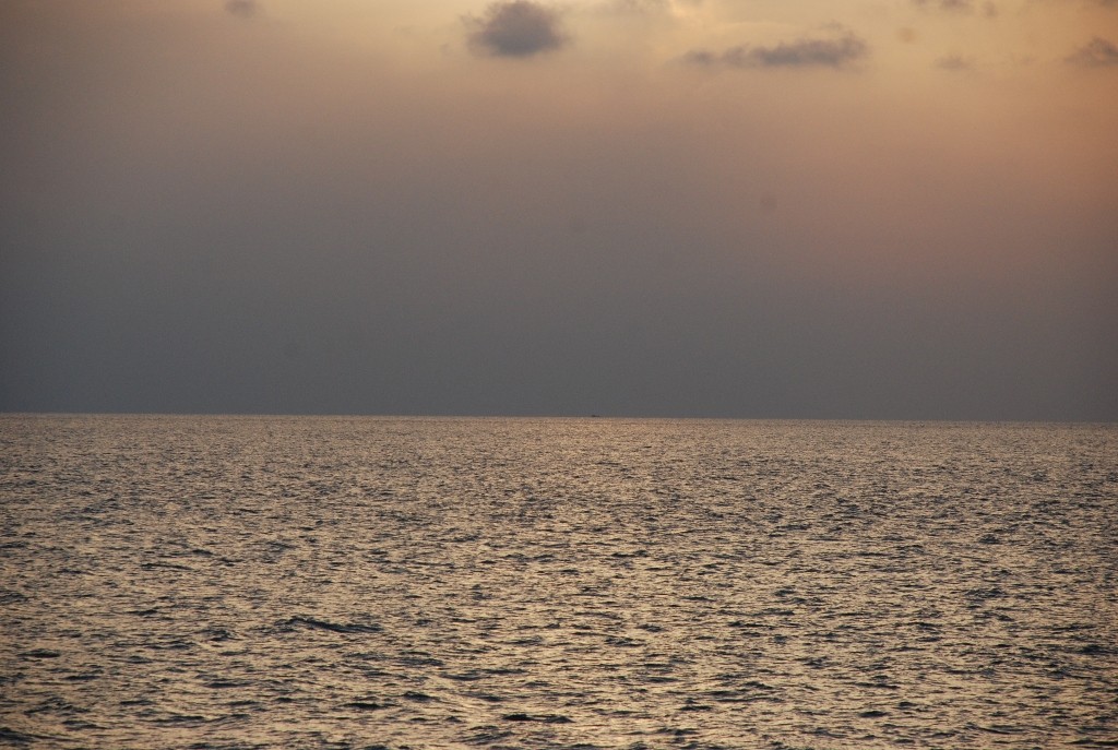DSC_0119.JPG